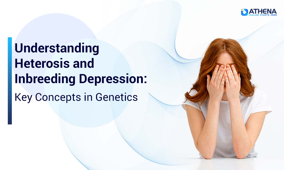 Heterosis vs Inbreeding Depression: Key Genetic Concepts
