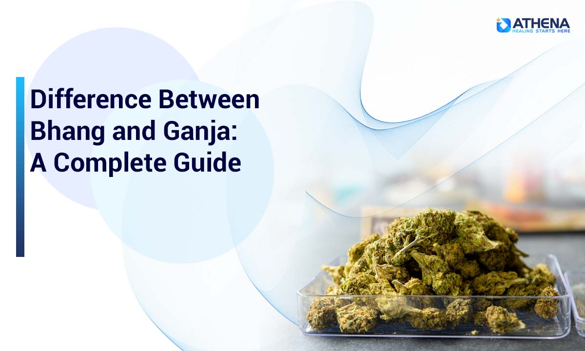 Bhang vs Ganja: Kya Antar Hai? Effects, Legality & Risks